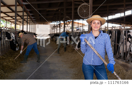 Latino american female farmer standing at the cow farm 111763166