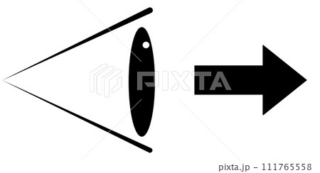 眼球のアイコン 111765558