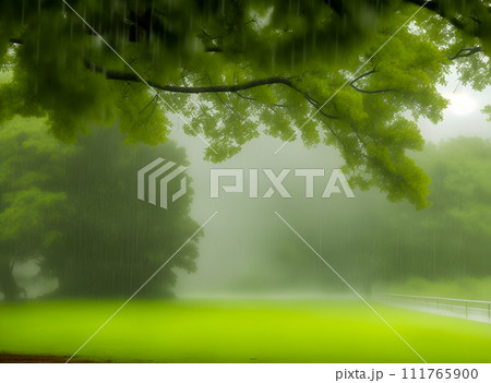 forest in the fog 111765900