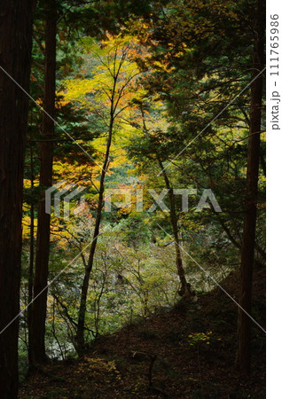 紅葉風景 111765986