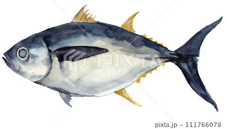 メバチマグロ 水彩素材 メバチマグロ 水彩素材 111766078