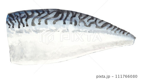 水彩の鯖フィレ アナログ 水彩の鯖フィレ アナログ 111766080