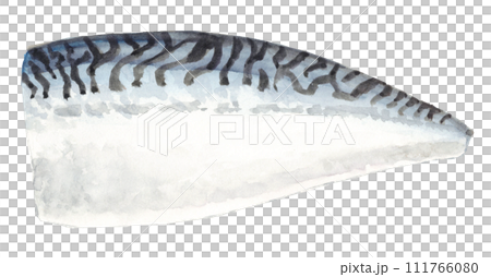 Watercolor mackerel fillet analog 111766080