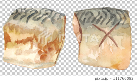 Watercolor mackerel stew in miso 111766082