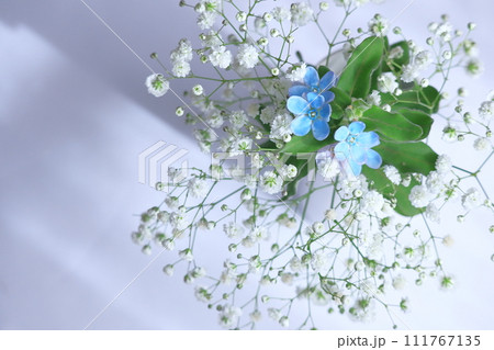 ブルースターとかすみ草 ブルースターとかすみ草 111767135