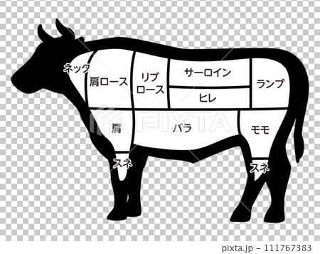 牛の部位のイラスト 111767383