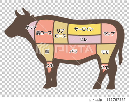 Illustration of cow parts Illustration of cow parts 111767385