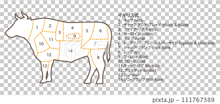 牛隻部位圖解 111767389
