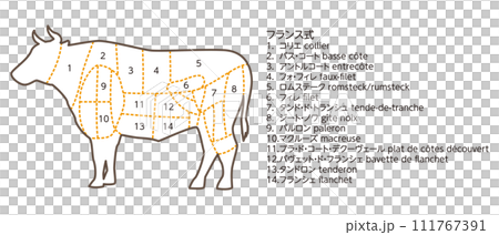牛隻部位圖解 牛隻部位圖解 111767391