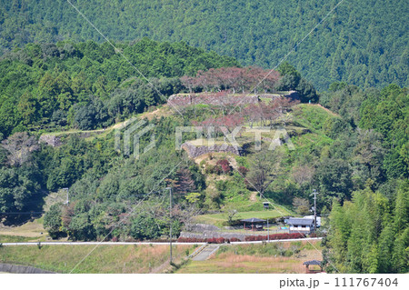 伊勢国「赤木城跡」(赤木城公園)の石垣と曲輪の様子 三重県熊野市 伊勢国「赤木城跡」(赤木城公園)の石垣と曲輪の様子 三重県熊野市 111767404