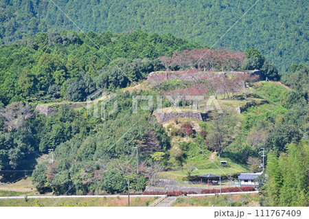 伊勢国「赤木城跡」（赤木城公園）の石垣と曲輪の様子　三重県熊野市 111767409
