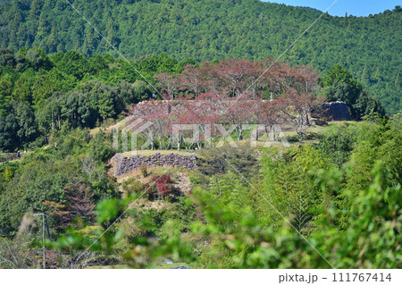 伊勢国「赤木城跡」（赤木城公園）の石垣と曲輪の様子　三重県熊野市 111767414
