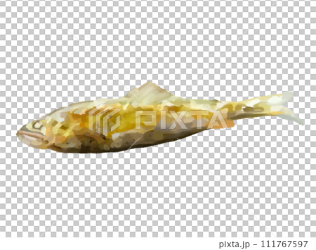 Salt-grilled sweetfish (1 fish) 111767597