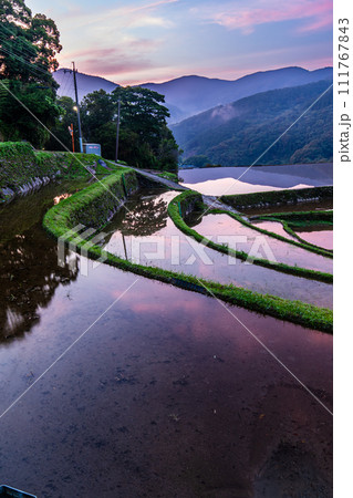 大中尾棚田 夜明けの水張り朝風景 【長崎市】 大中尾棚田 夜明けの水張り朝風景 【長崎市】 111767843