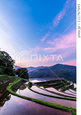 大中尾棚田 夜明けの水張り朝風景 【長崎市】 大中尾棚田 夜明けの水張り朝風景 【長崎市】 111767845