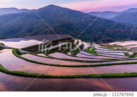 大中尾棚田　夜明けの水張り朝風景　【長崎市】 111767848