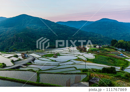 大中尾棚田　夜明けの水張り朝風景　【長崎市】 111767869
