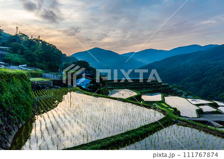 大中尾棚田　夜明けの水張り朝風景　【長崎市】 111767874