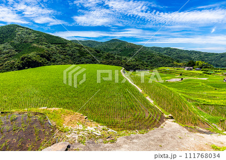 大中尾棚田　田植え後　【長崎市】 111768034