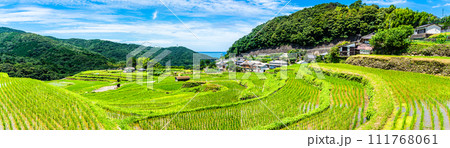 大中尾棚田　田植え後　パノラマ　【長崎市】 111768061