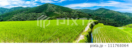 大中尾棚田　田植え後　パノラマ　【長崎市】 111768064