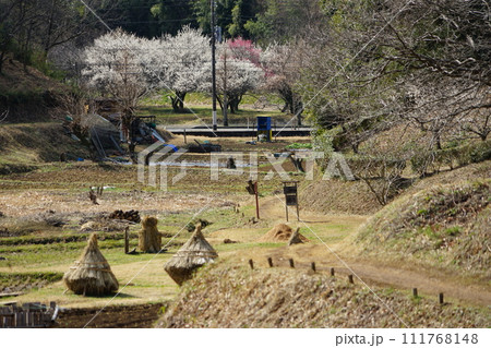 東京都町田市の奈良ばい谷戸の風景 東京都町田市の奈良ばい谷戸の風景 111768148