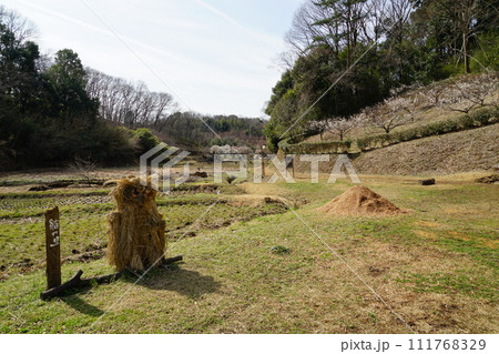 東京都町田市の奈良ばい谷戸の風景 111768329