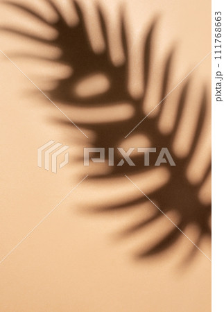 Shadows from palm leaves 111768663