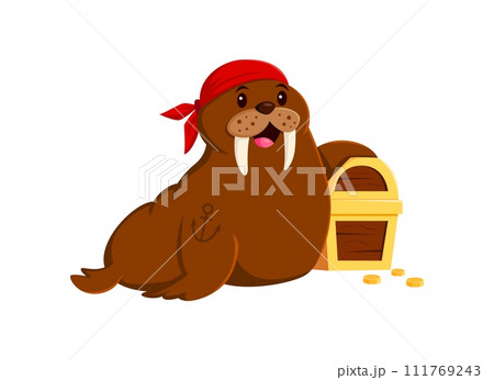 Cartoon funny walrus pirate animal character. Isolated vector jolly morse corsair sea creature personage, wear sailor bandana with anchor tattoo on its fin, guarding treasure chest with a toothy grin 111769243