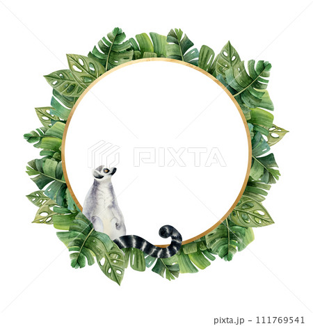 Ring tailed lemur monkey with tropical palm leaves round frame with copy space for text watercolor illustration isolated on white background with jungle forest nature and exotic plants Ring tailed lemur monkey with tropical palm leaves round frame with copy space for text watercolor illustration isolated on white background with jungle forest nature and exotic plants 111769541