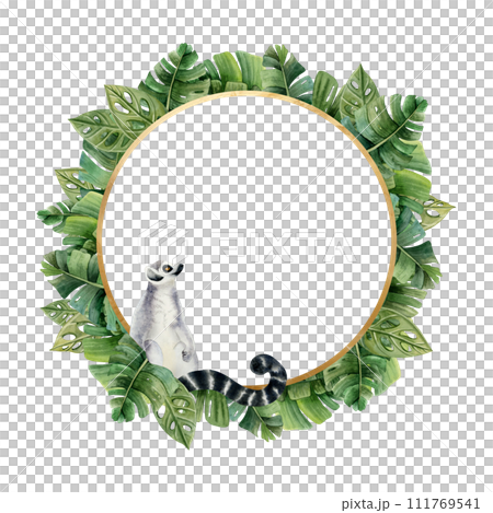 Ring tailed lemur monkey with tropical palm leaves round frame with copy space for text watercolor illustration isolated on white background with jungle forest nature and exotic plants Ring tailed lemur monkey with tropical palm leaves round frame with copy space for text watercolor illustration isolated on white background with jungle forest nature and exotic plants 111769541