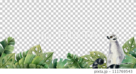 Lemur monkey in tropical leaves and bushes horizontal banner watercolor illustration isolated on white background with jungle forest nature and exotic plants Lemur monkey in tropical leaves and bushes horizontal banner watercolor illustration isolated on white background with jungle forest nature and exotic plants 111769543