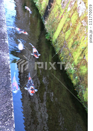 飫肥城下町の風景 飫肥城下町の風景 111770059