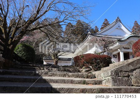 飫肥城址 飫肥城址 111770453
