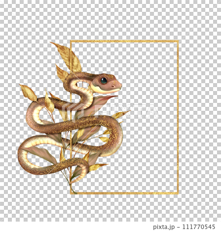 Gold rectangular frame with Twisted Snake and leaves. Hand drawn serpent floral illustration Gold rectangular frame with Twisted Snake and leaves. Hand drawn serpent floral illustration 111770545