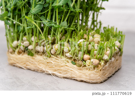 Ideal for themes of healthy eating, organic gardening, and farm-to-table cooking 111770619
