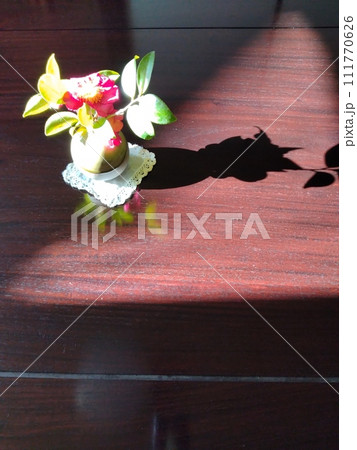 小さな生け花　光と影 111770626