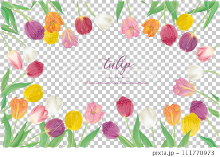 Watercolor hand drawn colorful tulip frame material 111770973
