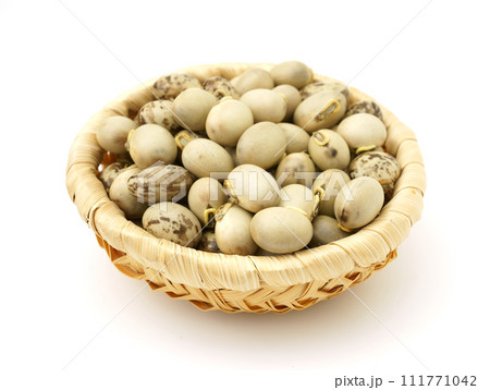 ムクナ豆 111771042