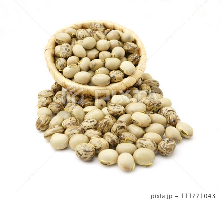 ムクナ豆 111771043