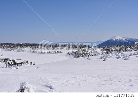 厳冬の八幡平から見る岩手山 厳冬の八幡平から見る岩手山 111771519