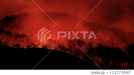 Forest was engulfed in flames turning the sky and surrounding area a fiery red. 111771697