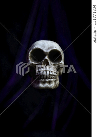 Halloween human skull on a black background with free space for text Halloween human skull on a black background with free space for text 111771834