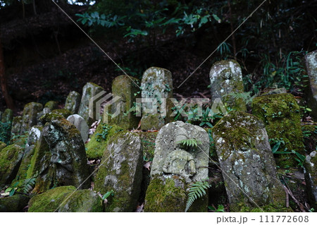 千五百羅漢道中。鋸山（のこぎりやま）は日本の千葉県の山。日本寺、地獄のぞきなどがある観光地。 111772608
