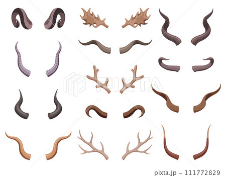 Horns set. Hunting trophys. Vector horned wild animals. Pairs of antlers. Vector illustration of hunted animals, wildlife decoration concept Horns set. Hunting trophys. Vector horned wild animals. Pairs of antlers. Vector illustration of hunted animals, wildlife decoration concept 111772829