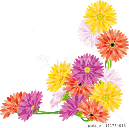 背景素材＜花・ガーベラ・ピンク・黄・赤＞ 111774018