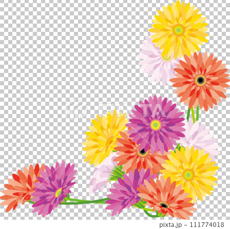 背景素材＜花・ガーベラ・ピンク・黄・赤＞ 111774018