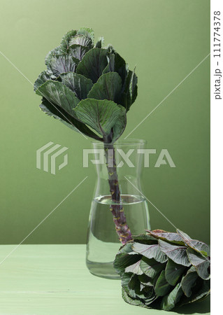 Fresh, beautiful flowers on a green background. Fresh, beautiful flowers on a green background. 111774378