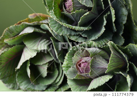 Bouquet of fresh flowers, close-up, side view. Bouquet of fresh flowers, close-up, side view. 111774379