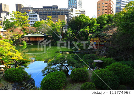 【兵庫県】晴天の相楽園 【兵庫県】晴天の相楽園 111774968